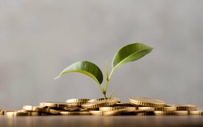 Les nouvelles aides pour votre entreprise !